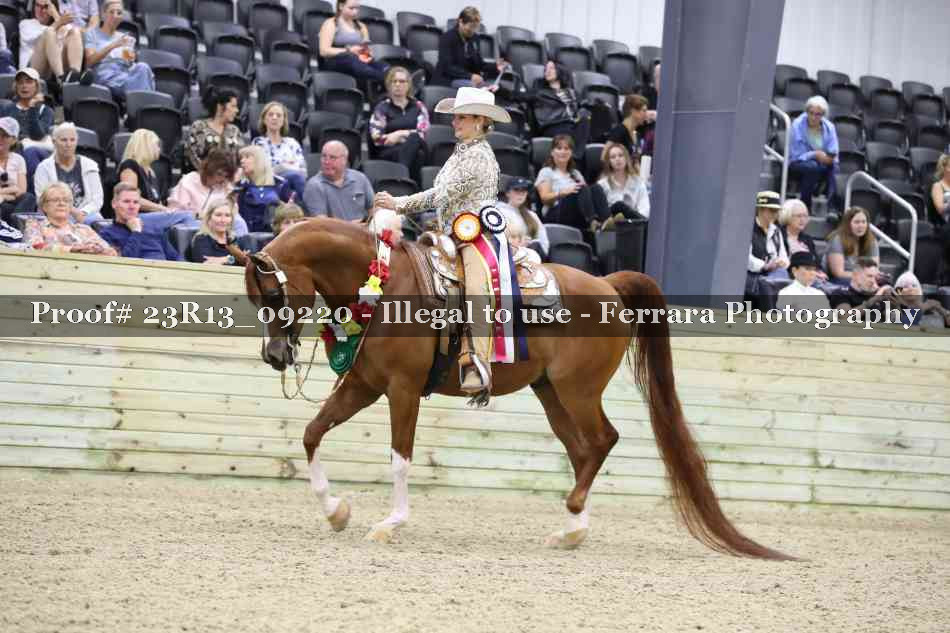 Proof Number 23R13_09220