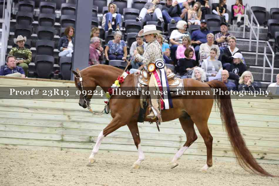 Proof Number 23R13_09224