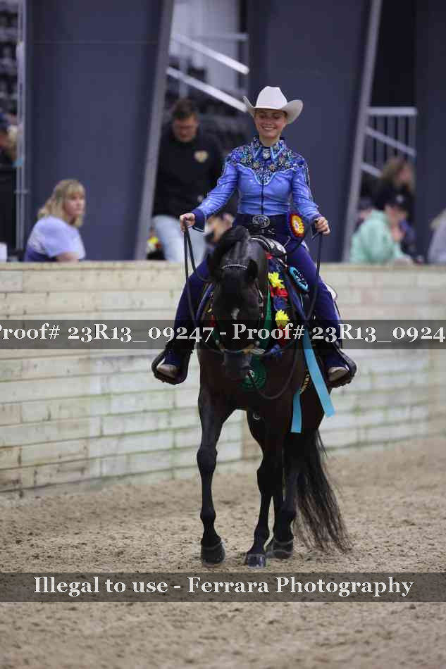 Proof Number 23R13_09247