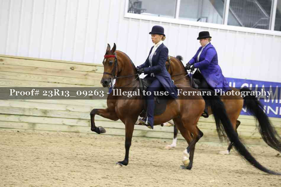 Proof Number 23R13_09263