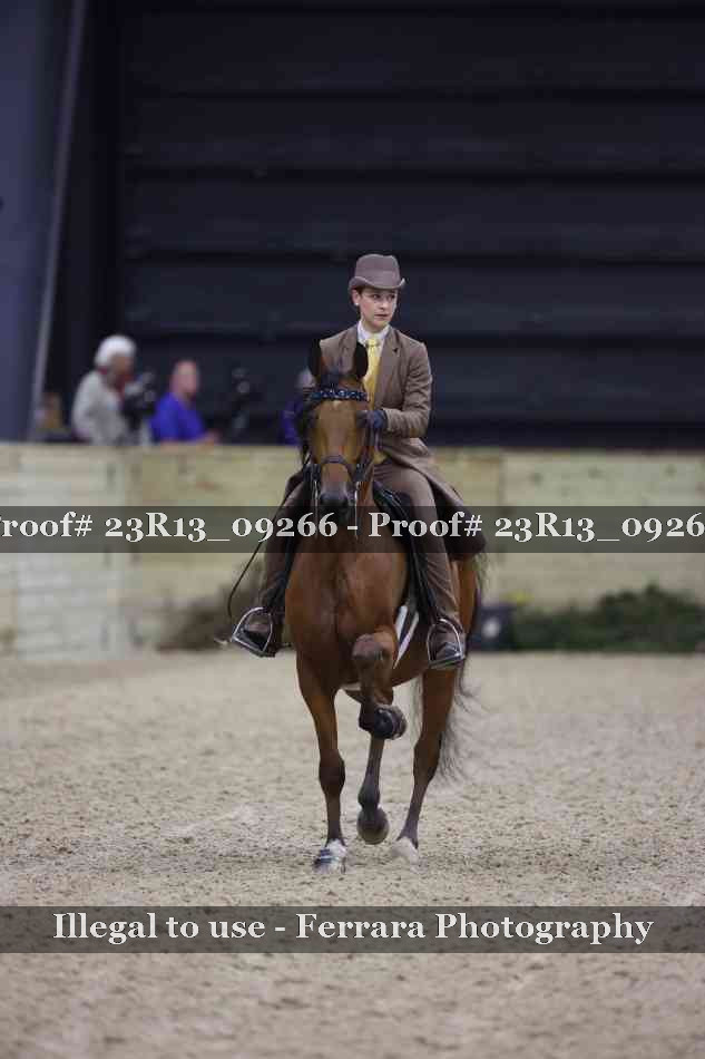 Proof Number 23R13_09266