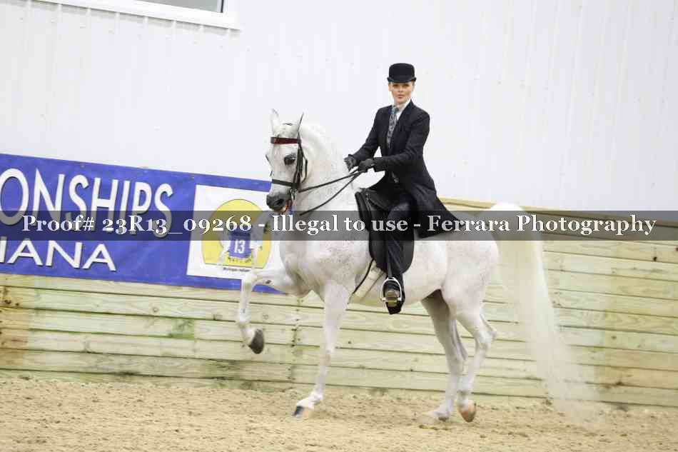Proof Number 23R13_09268