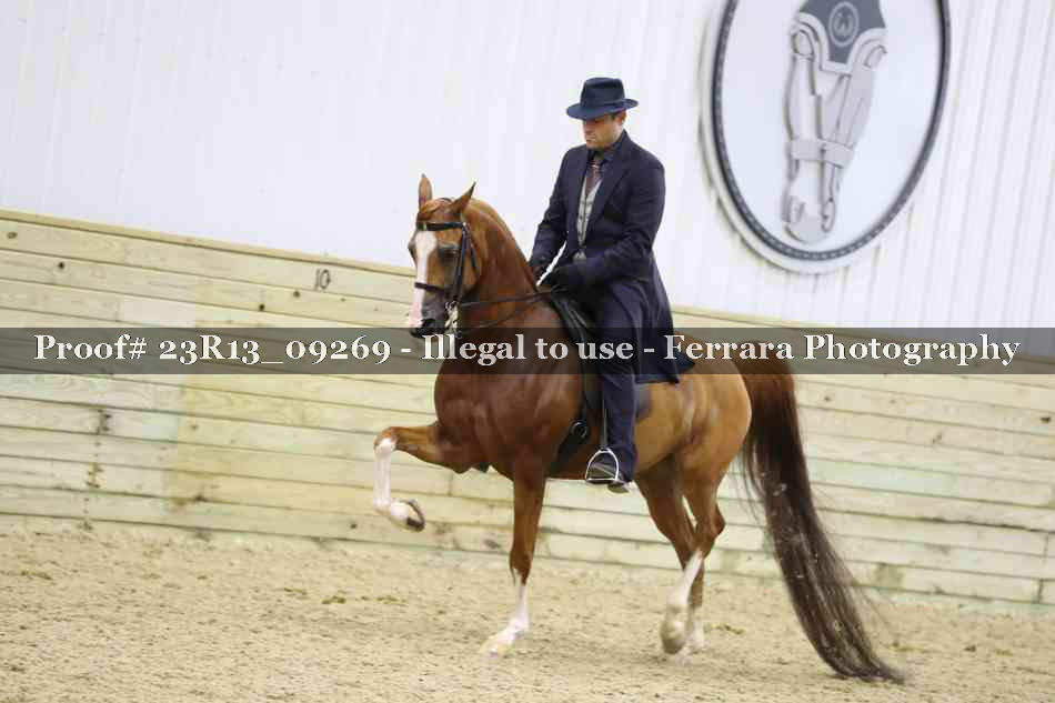 Proof Number 23R13_09269