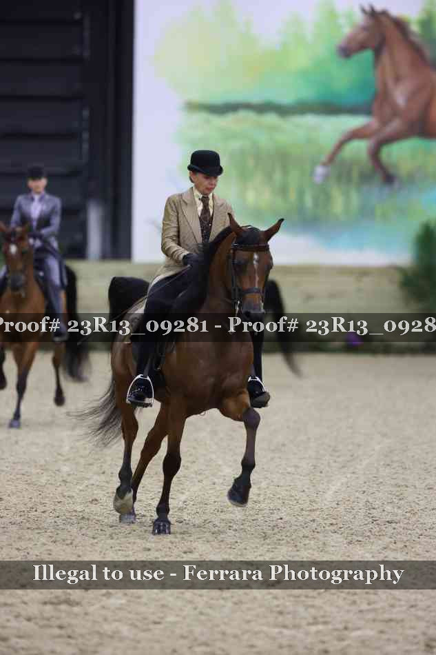 Proof Number 23R13_09281