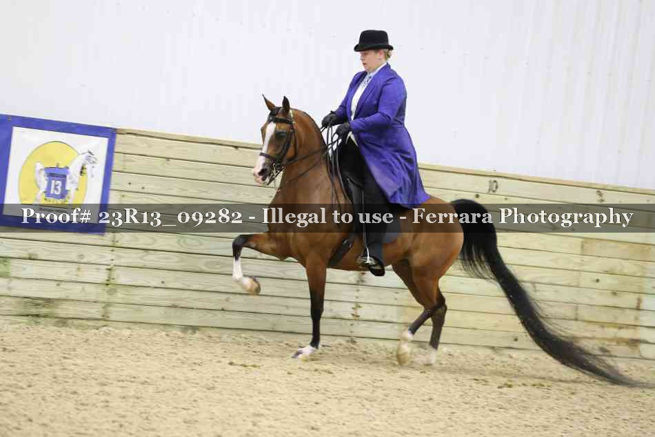 Proof Number 23R13_09282