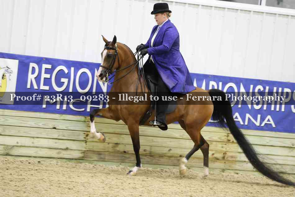 Proof Number 23R13_09283