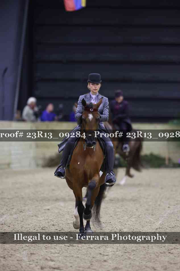 Proof Number 23R13_09284