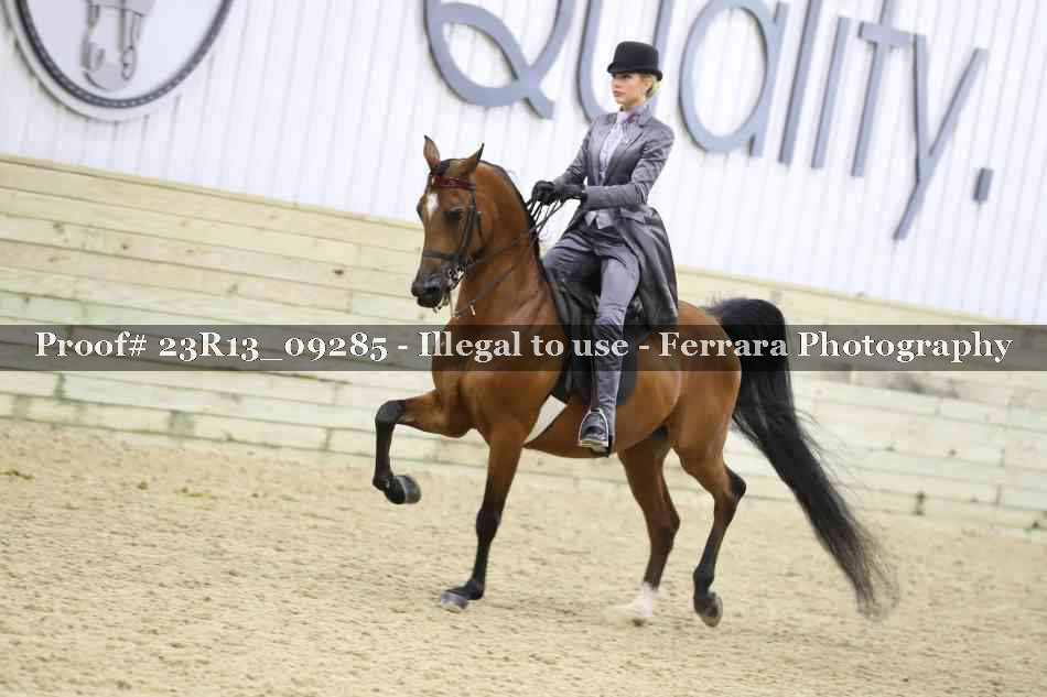 Proof Number 23R13_09285