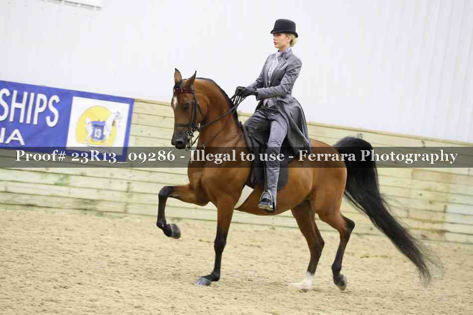 Proof Number 23R13_09286