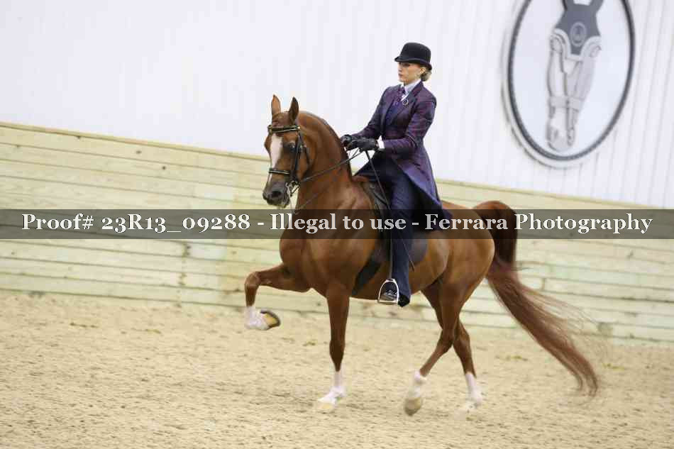 Proof Number 23R13_09288