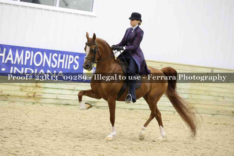 Proof Number 23R13_09289