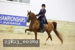 23R13_09289 thumbnail