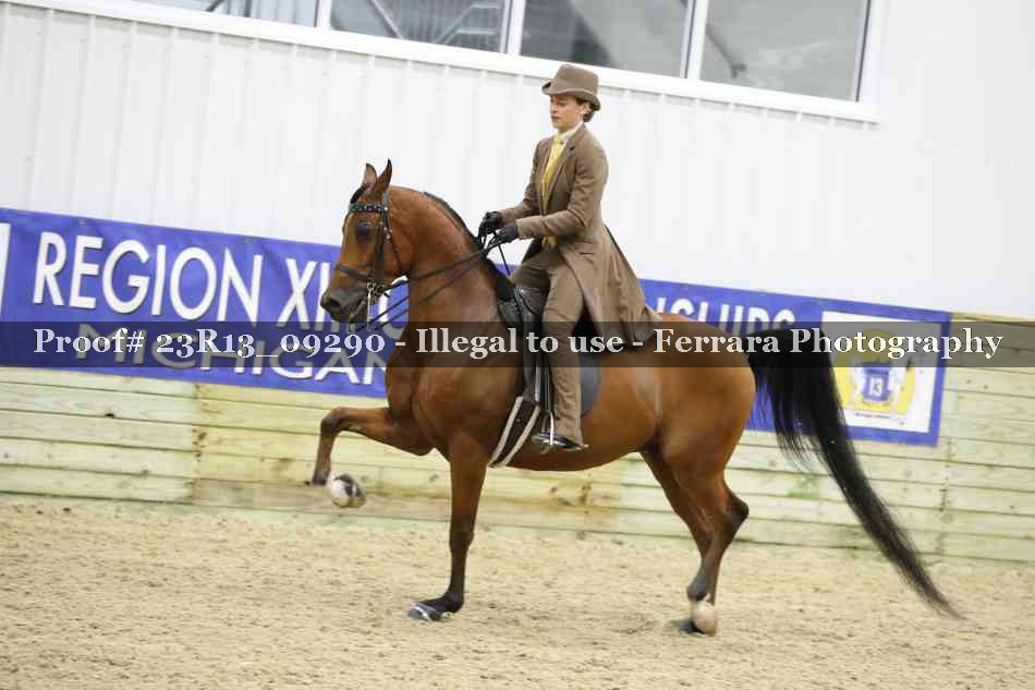 Proof Number 23R13_09290