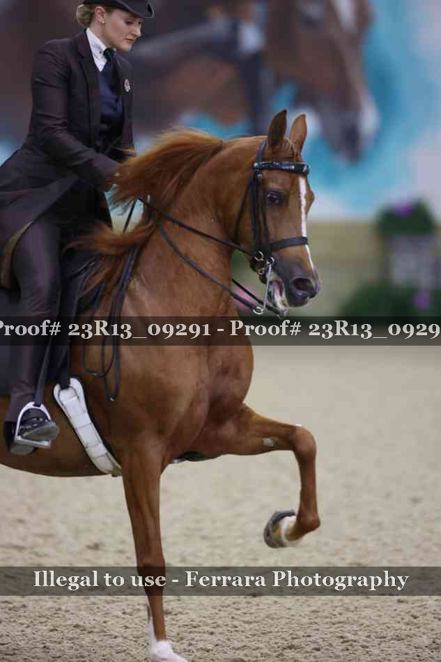 Proof Number 23R13_09291