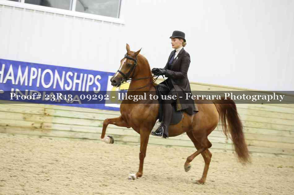 Proof Number 23R13_09292