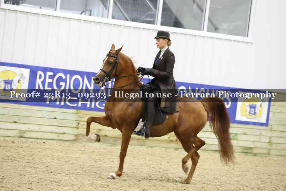 Proof Number 23R13_09293