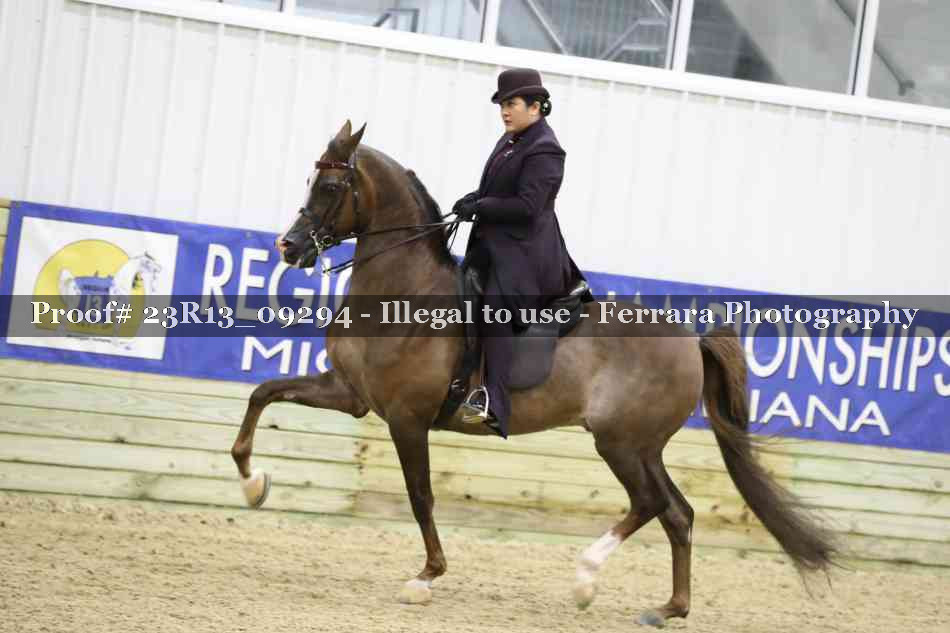 Proof Number 23R13_09294