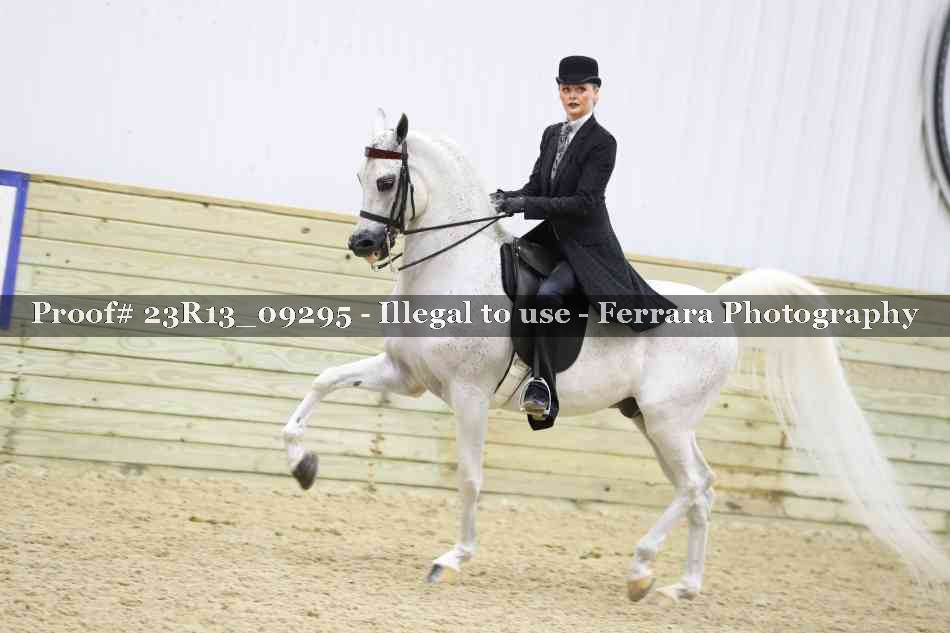 Proof Number 23R13_09295