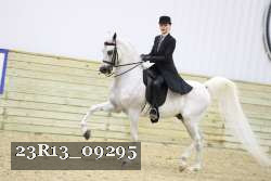 23R13_09295 thumbnail