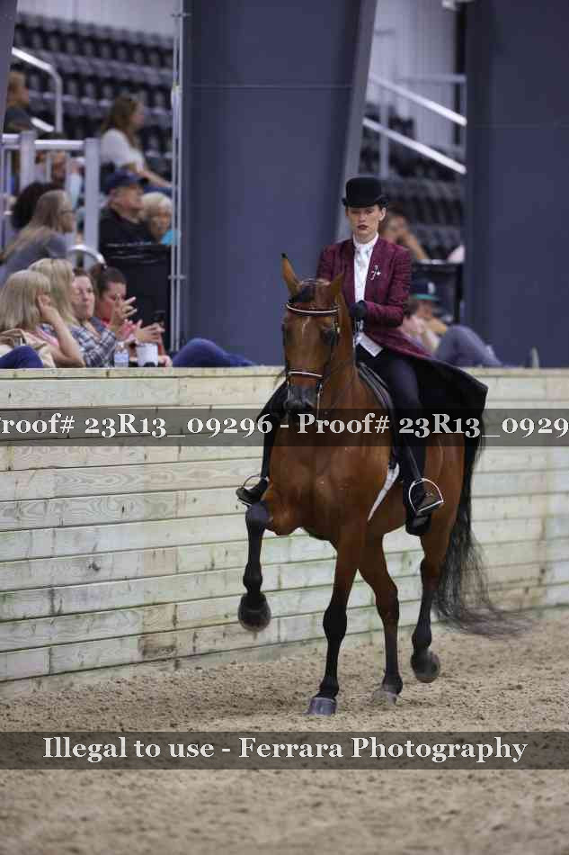 Proof Number 23R13_09296