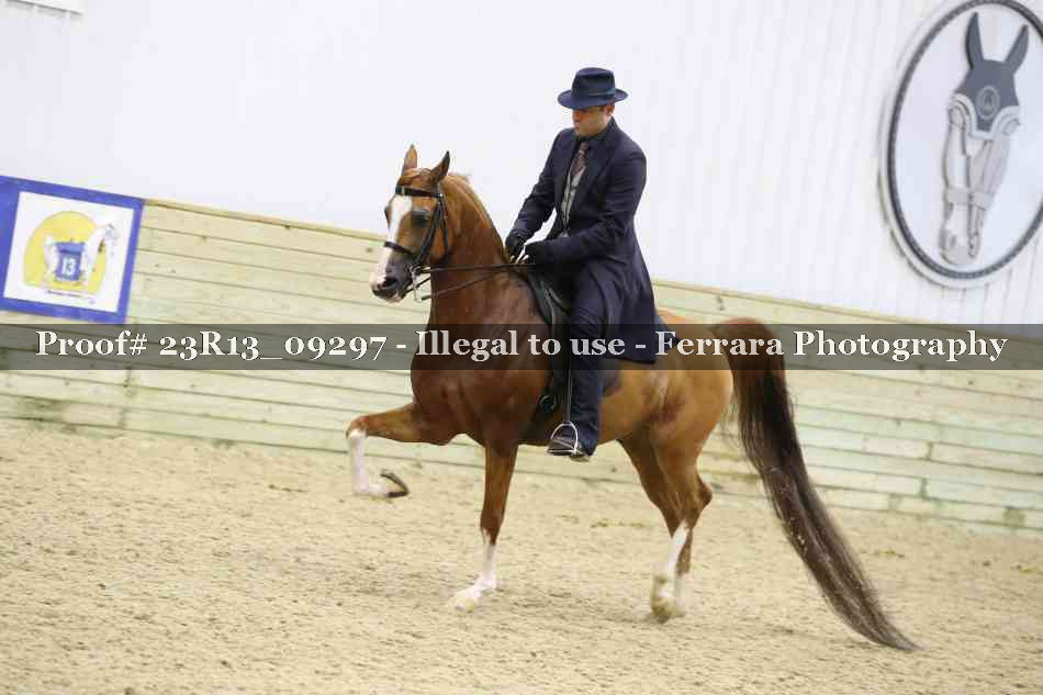 Proof Number 23R13_09297