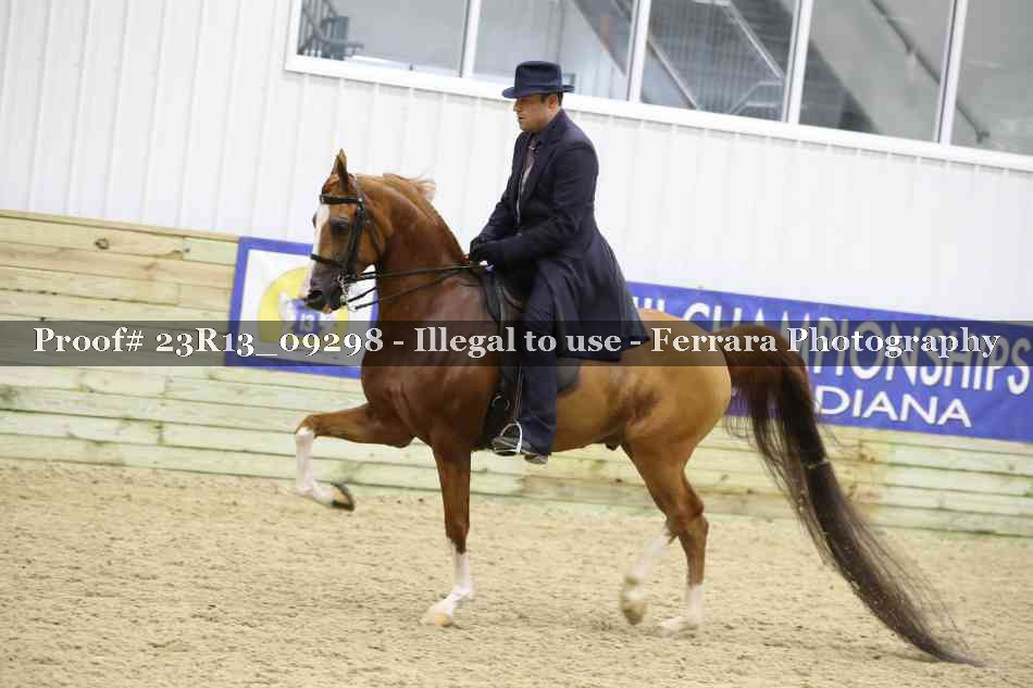 Proof Number 23R13_09298