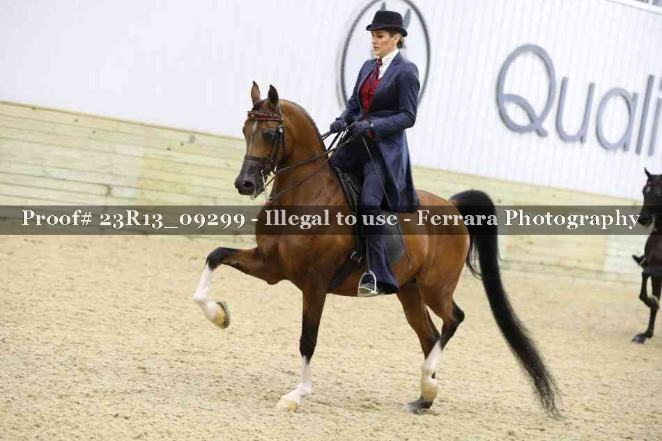 Proof Number 23R13_09299