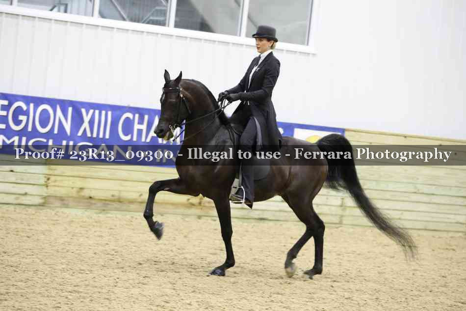 Proof Number 23R13_09300