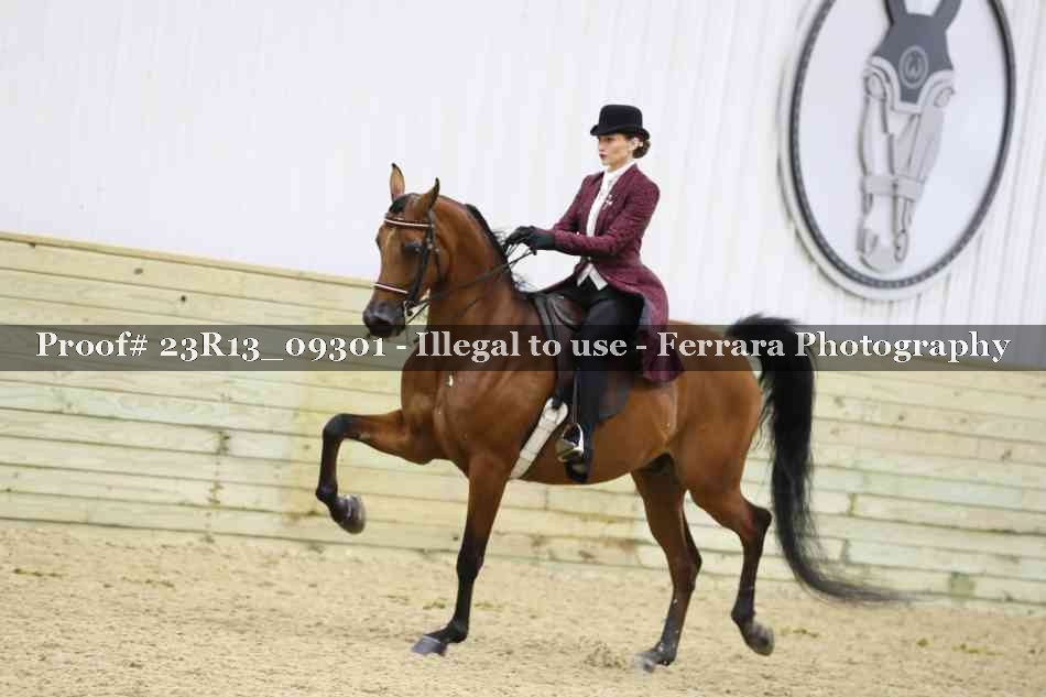 Proof Number 23R13_09301