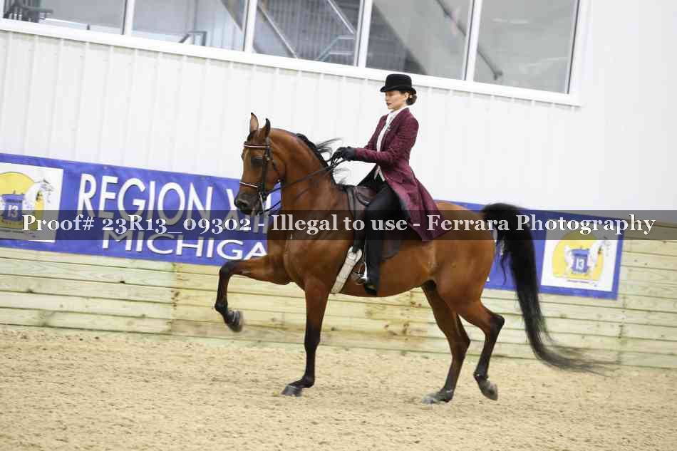 Proof Number 23R13_09302