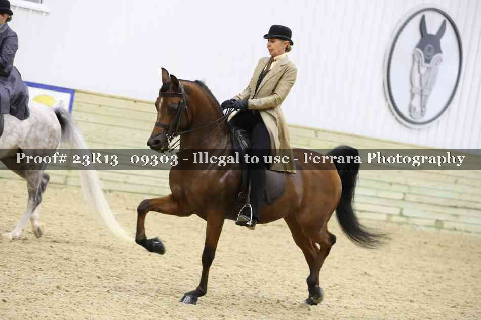 Proof Number 23R13_09303
