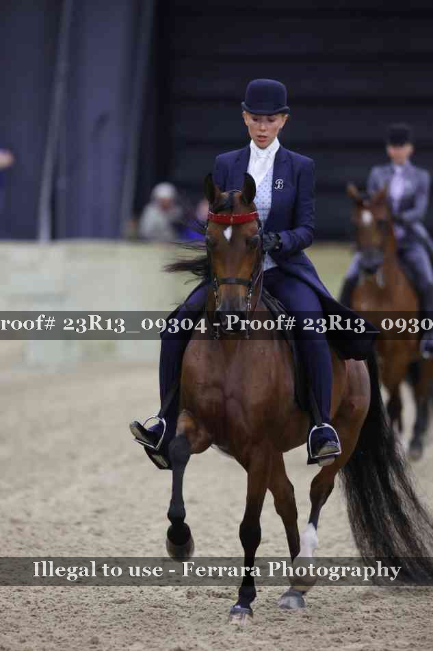 Proof Number 23R13_09304