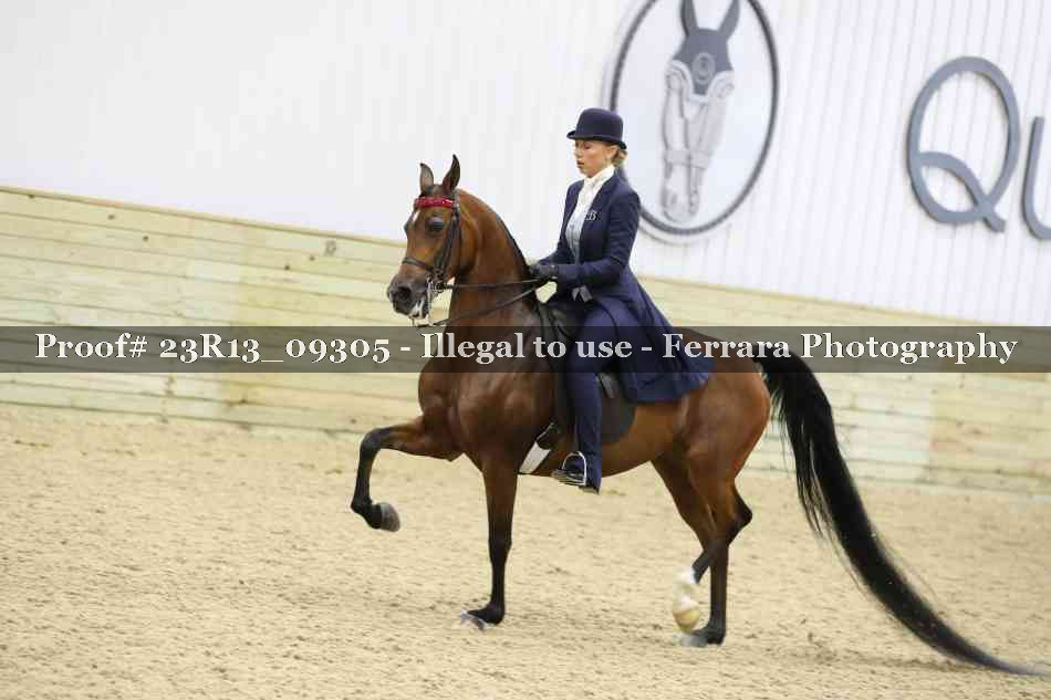 Proof Number 23R13_09305