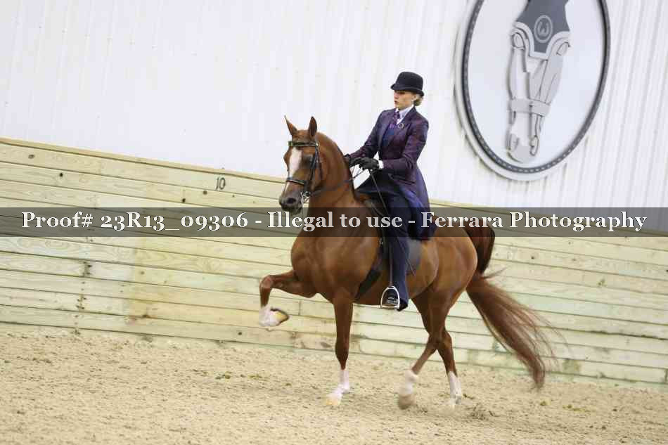 Proof Number 23R13_09306