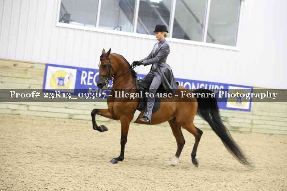 Proof Number 23R13_09307