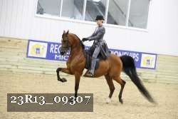 23R13_09307 thumbnail