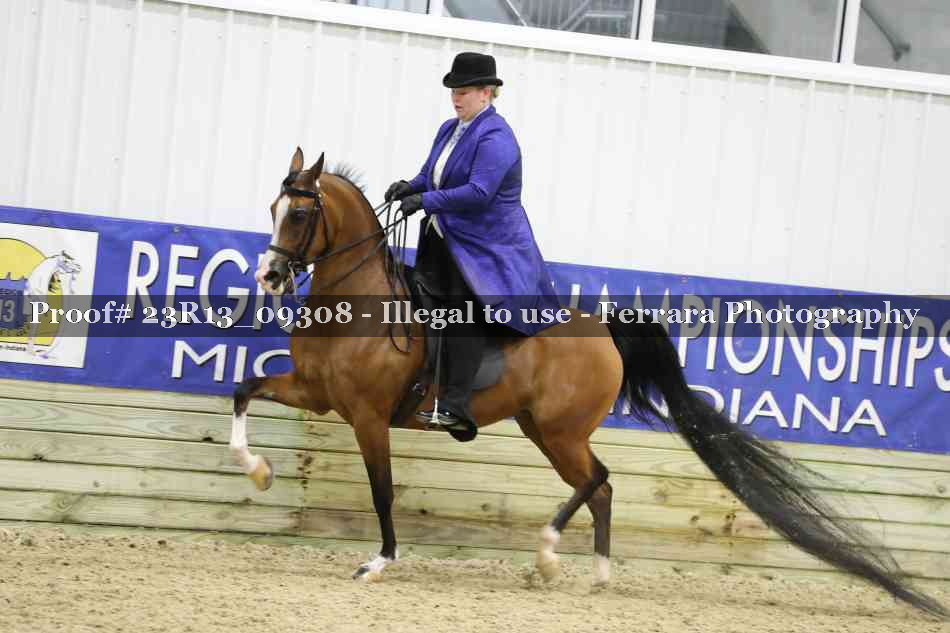 Proof Number 23R13_09308