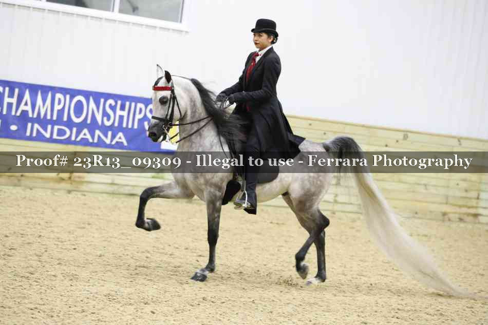 Proof Number 23R13_09309