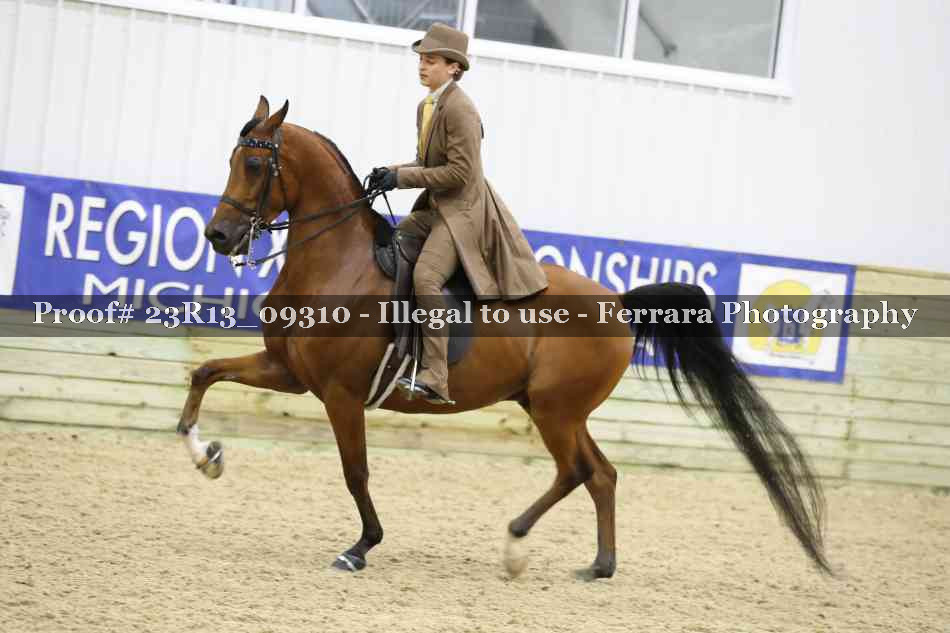 Proof Number 23R13_09310