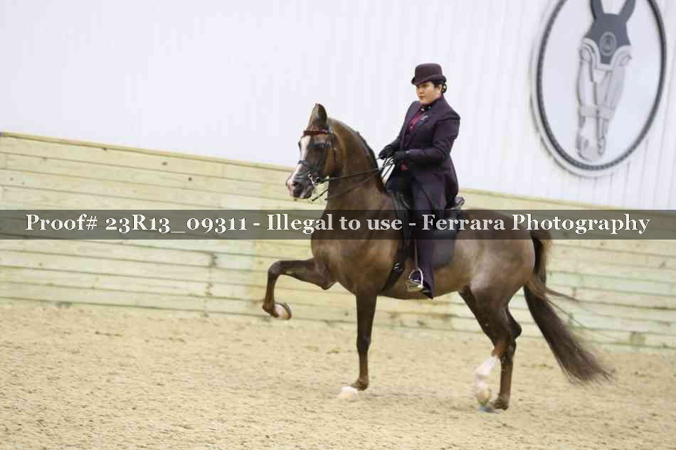 Proof Number 23R13_09311