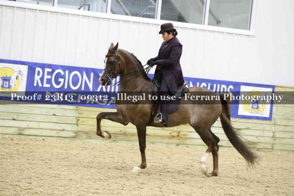 Proof Number 23R13_09312