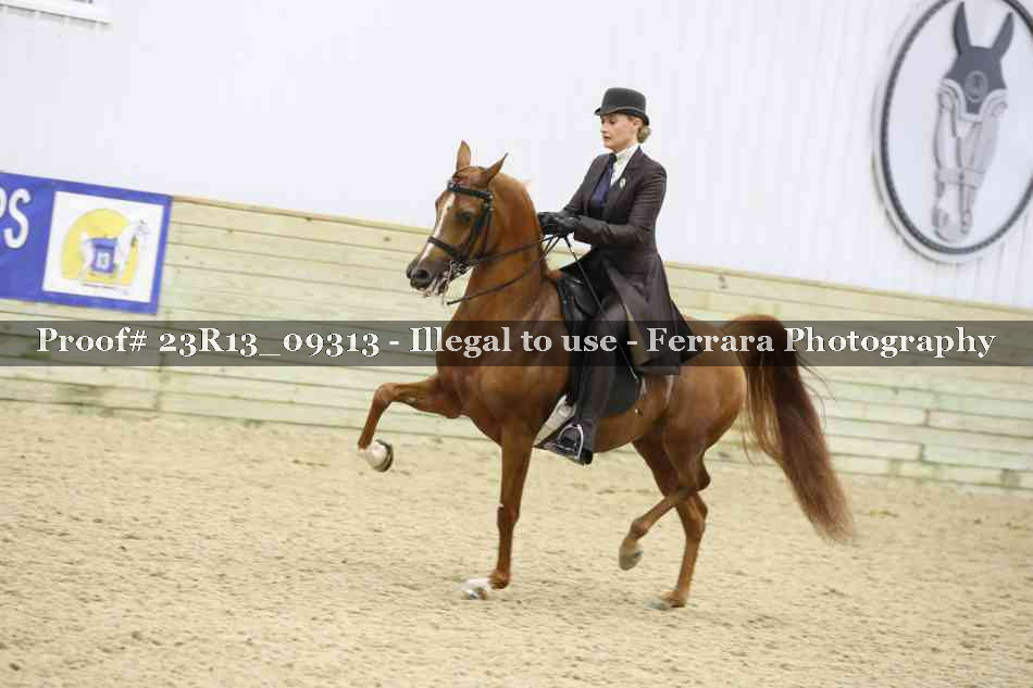 Proof Number 23R13_09313