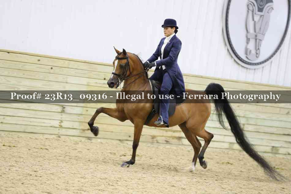 Proof Number 23R13_09316