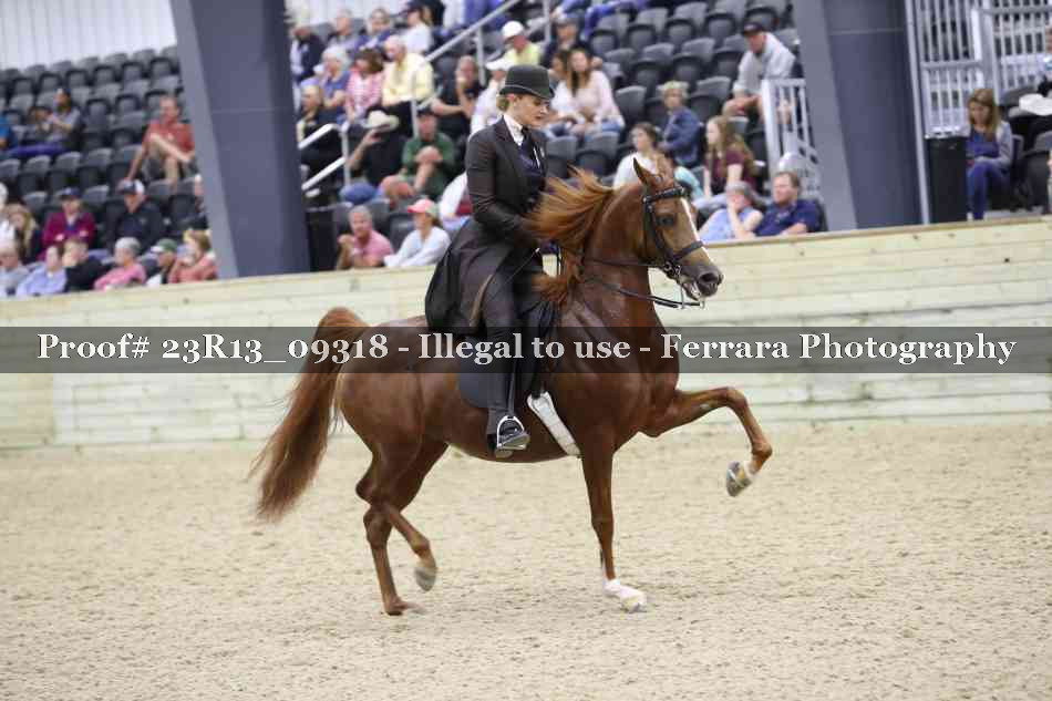 Proof Number 23R13_09318