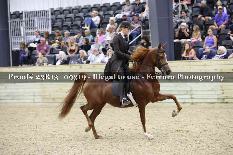 Proof Number 23R13_09319