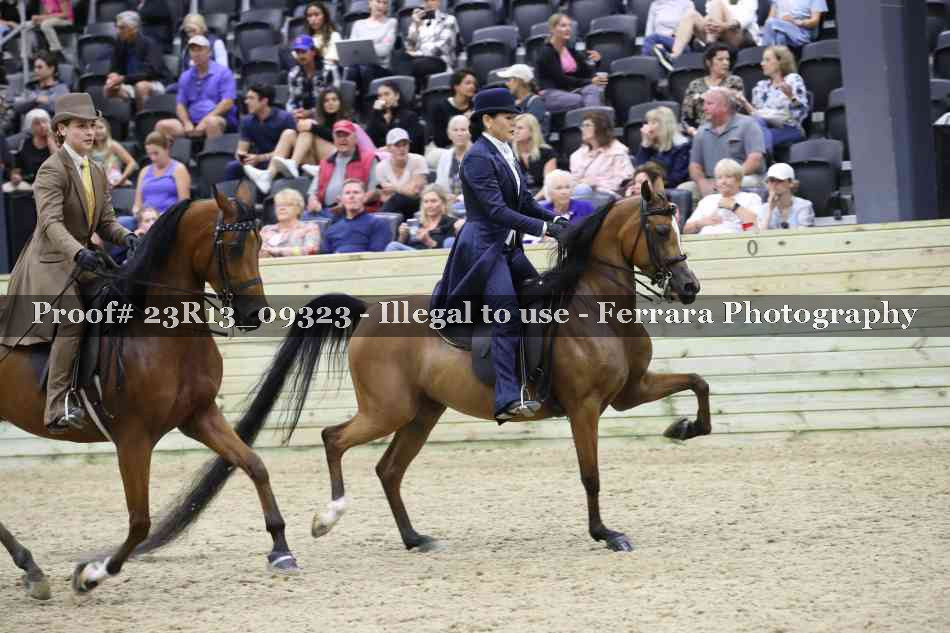 Proof Number 23R13_09323