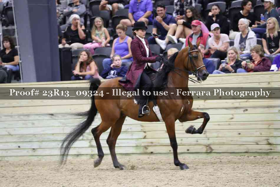 Proof Number 23R13_09324