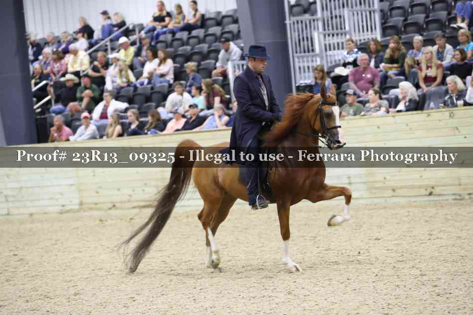Proof Number 23R13_09325