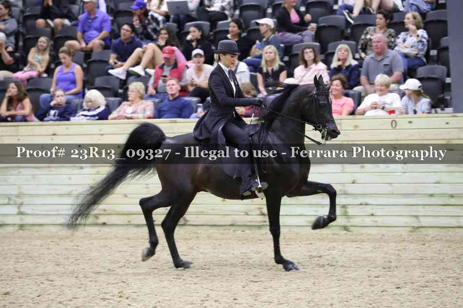 Proof Number 23R13_09327