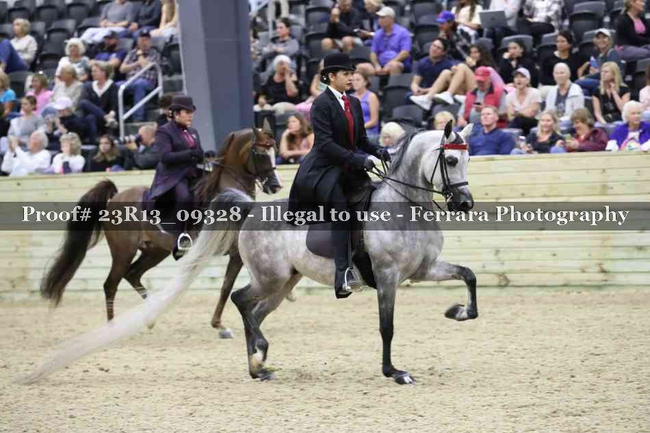 Proof Number 23R13_09328